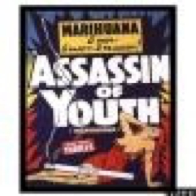 Assassin Of Youth by Bam cover