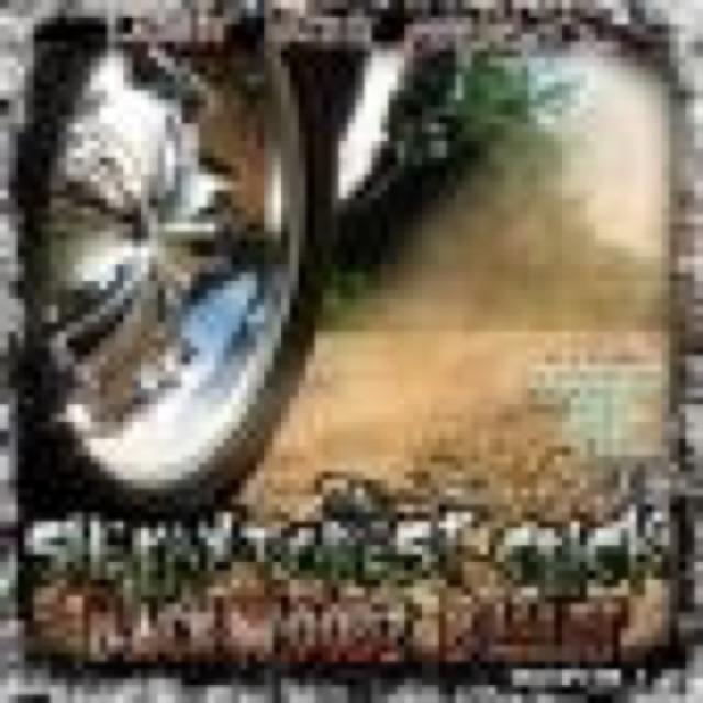 BackWoodz Ballin by Shelby Forest Click cover