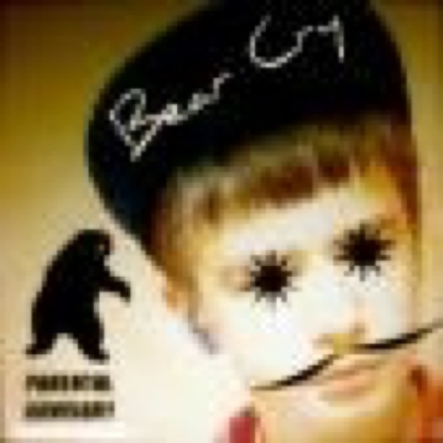 Bear Cry cover