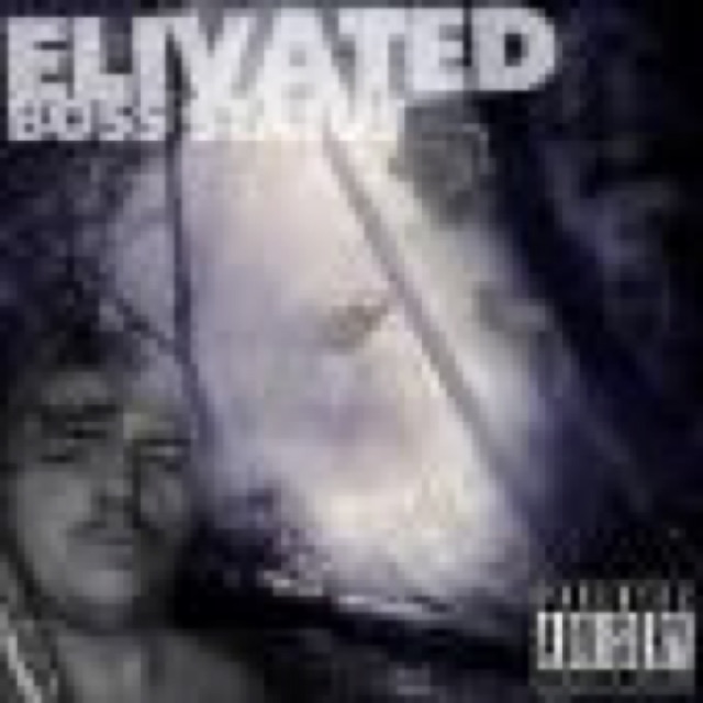 BossMain Boss Status Vol 1 Collab status cover