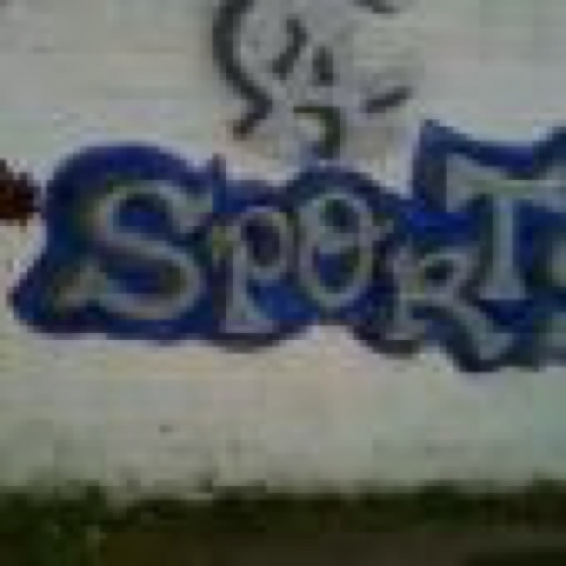 CA Sportz Freestylez cover