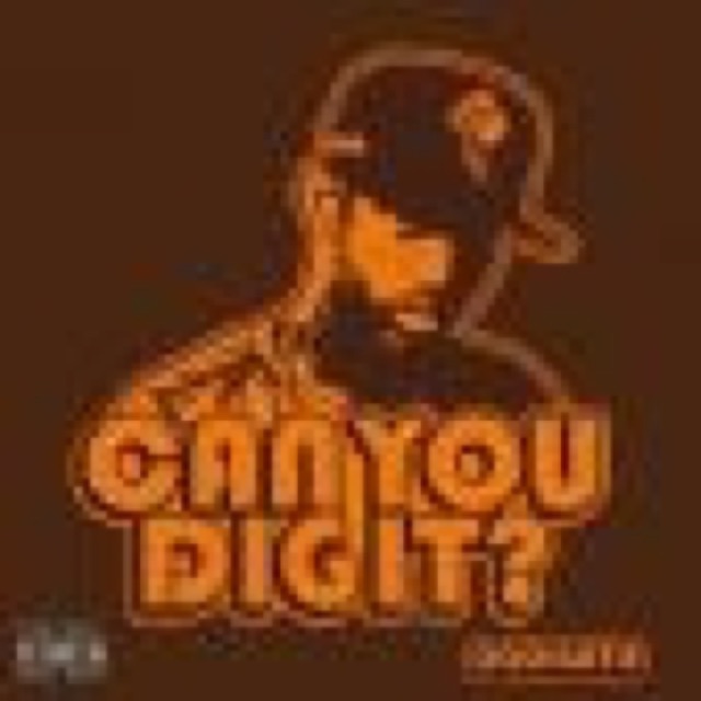 CAN U DIG IT cover