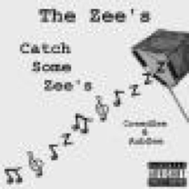Catch Some Zees cover