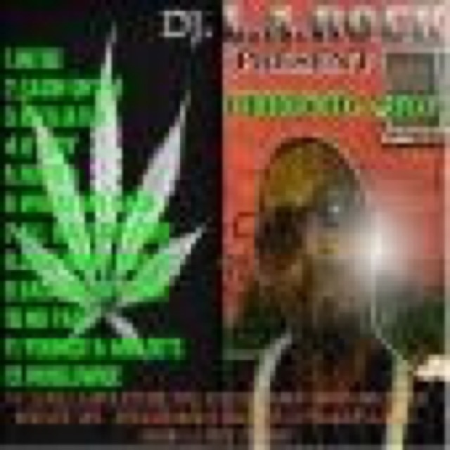 CHRONIC 2010 cover