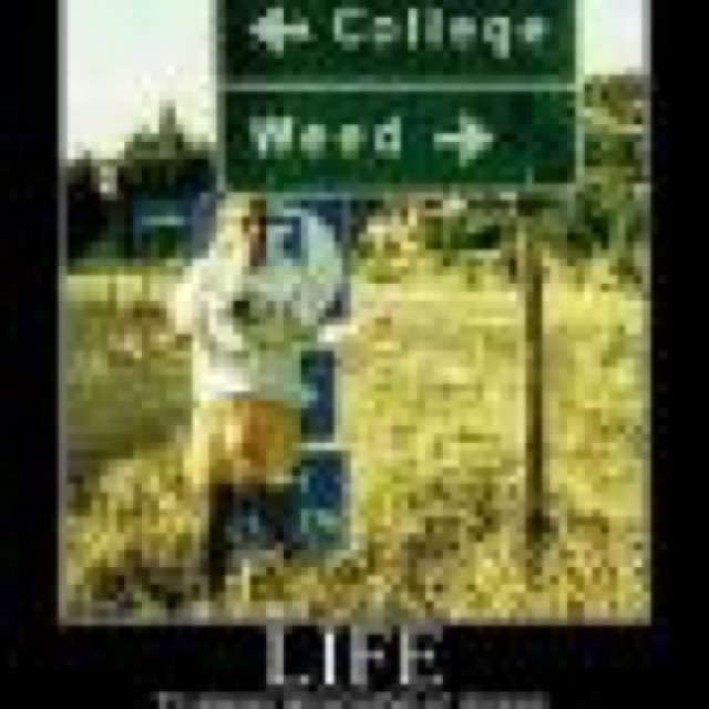 College and Weed Sample cover