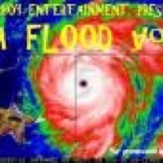 DA FLOOD VOL 1 by CHI-BEEZIE,G.T., HASHIM OMARI, "REAL"SKILLZ, CELLO, TURK, ROSS AUGUSTA,BLACK SOSA, JUNGLE,YPC cover