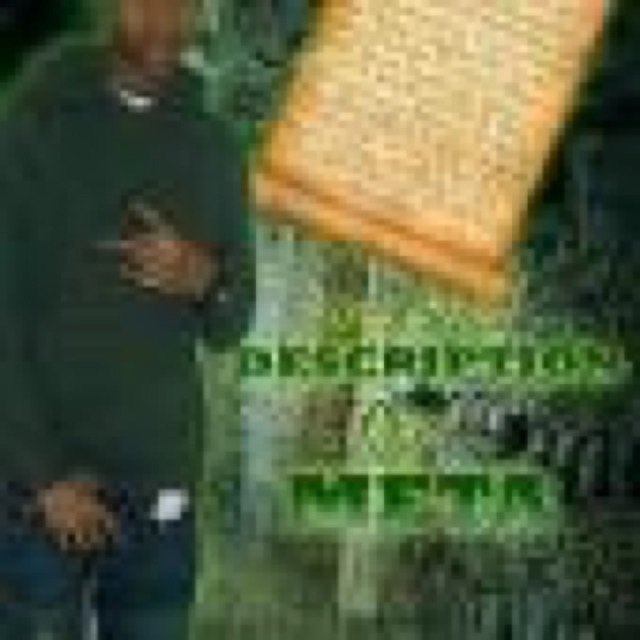 Description Of Meta by Meta Mike cover