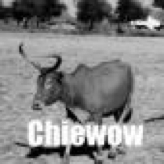 Different Level cover