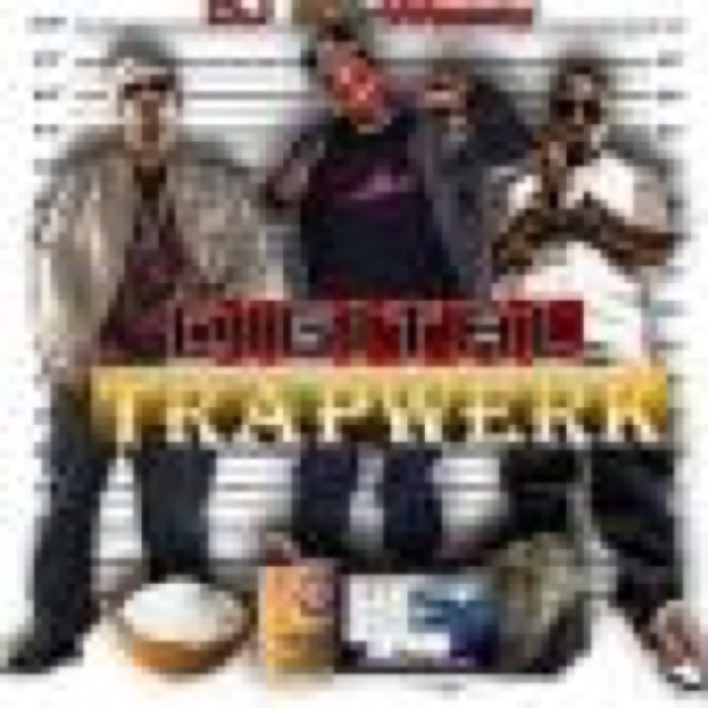 Digital TrapWerk cover