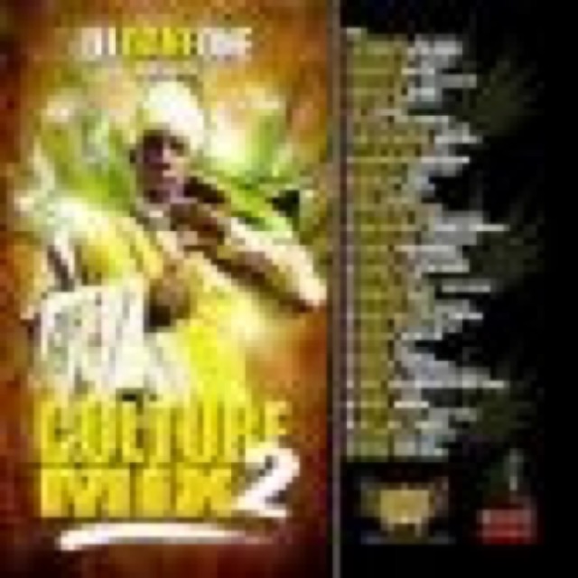 DJ DANE ONE PRESENT REGGAE CULTURE MIX 2009 VOL 2 cover