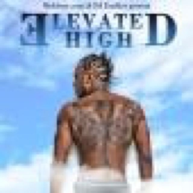 Elevated High cover