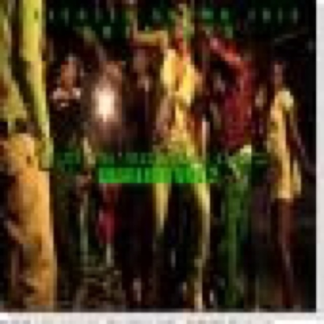 EXOTIC RIDDIMZ DAYZ JUNGLING VOL2 cover