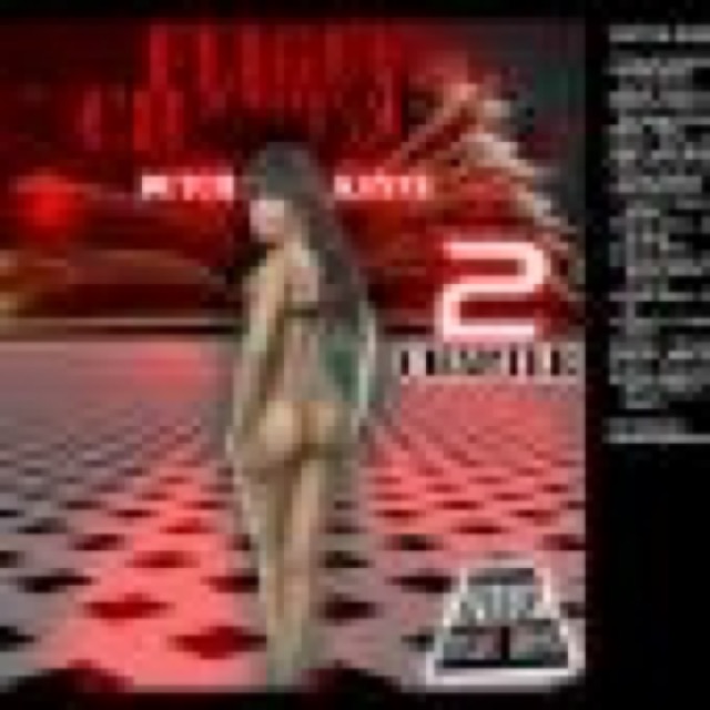 Flight Chapters Disk 2 by DUTCH KANNE cover