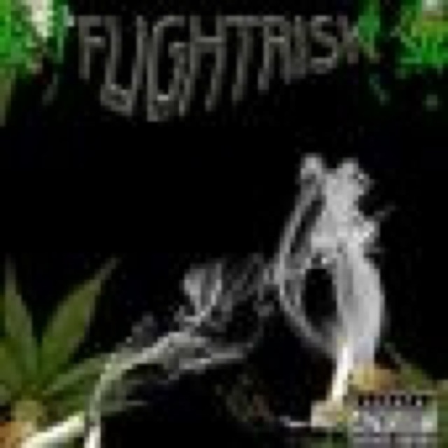 FLIGHTRISK cover