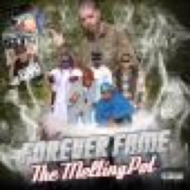 Forever Fames The Melting Pot by FOREVER FAME cover