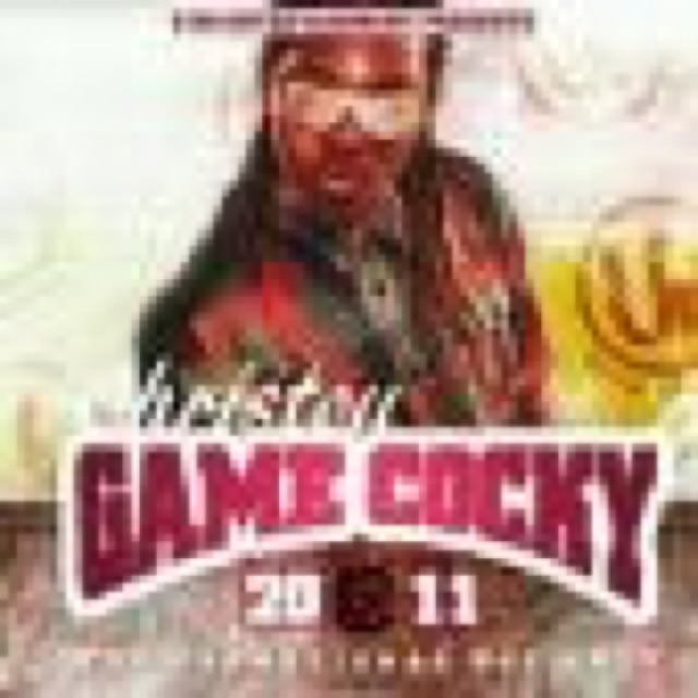 Gamecocky cover
