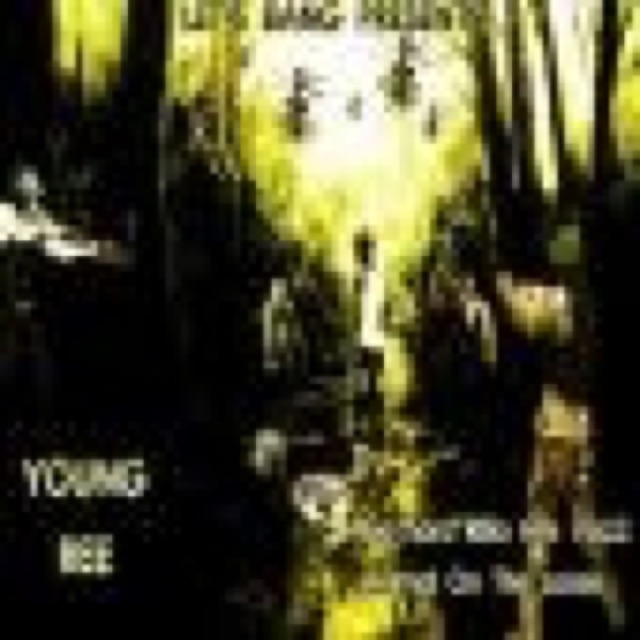 Gohardilla Hits VolII: Animal On The Loose by Young Ree cover