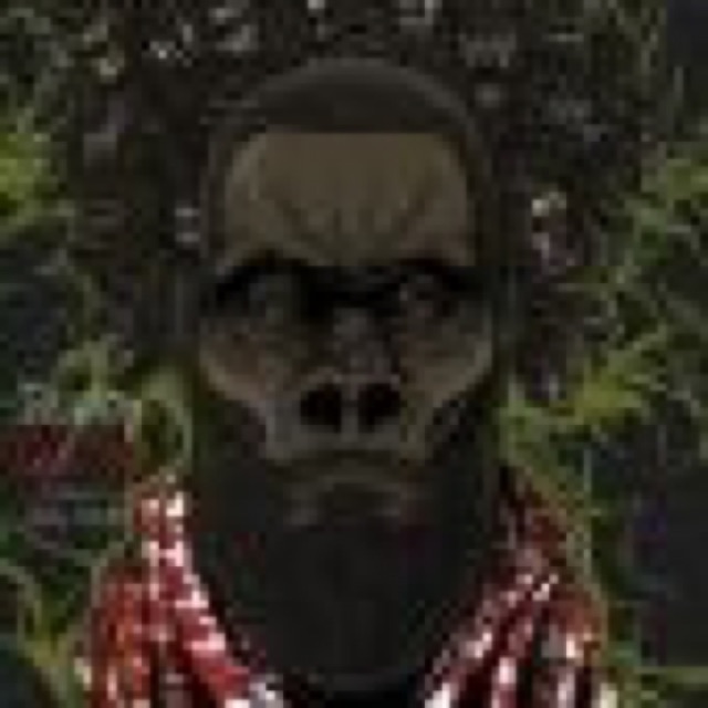 Goin Ape cover