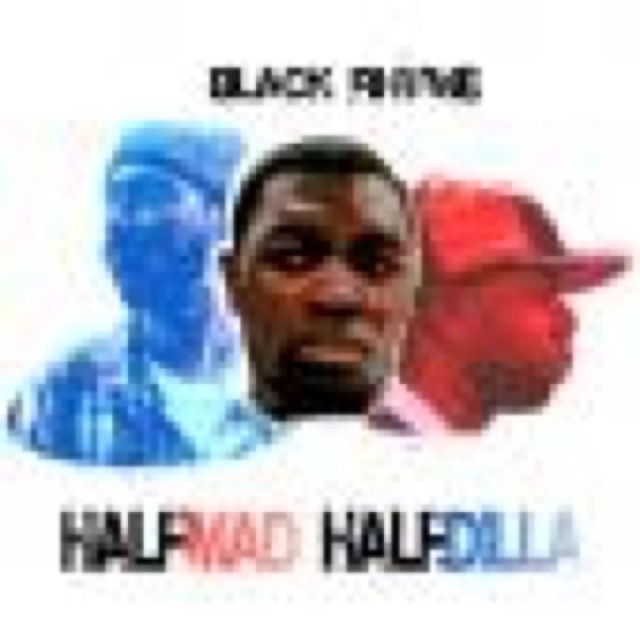 Half Mad Half Dilla cover