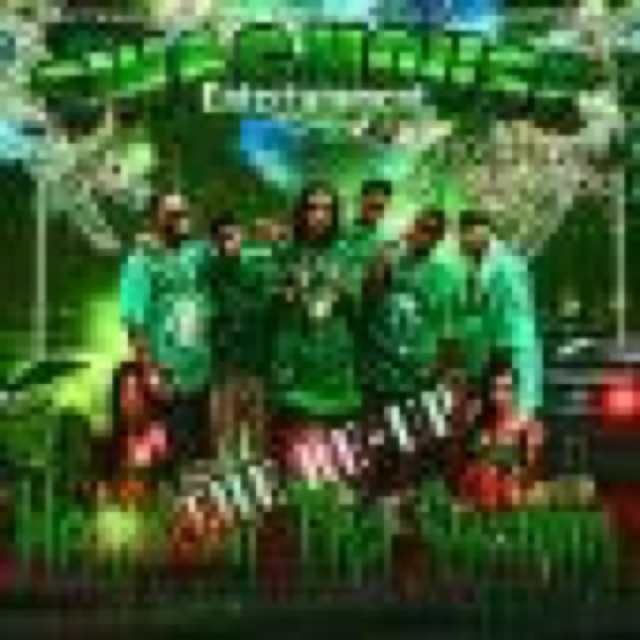 Heart Of Tha Swamp Vol 2: The Re Up by Swag House Ent cover
