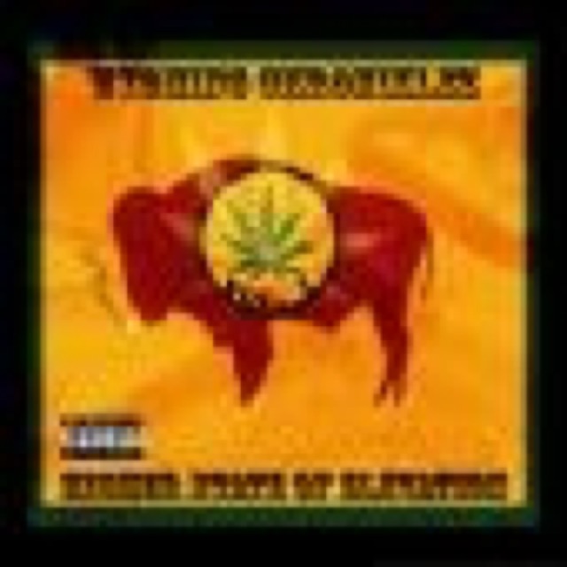 Higher State of Elevation by Wyoming Chroniklez cover