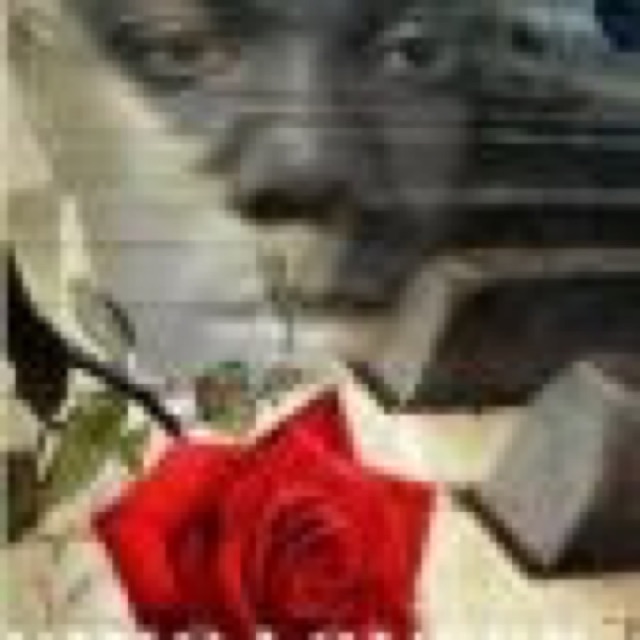 KING LOVERR LOST IN THE QUIET STORM cover