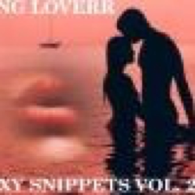 KING LOVERR SEXY SNIPPETS VOL 2 cover