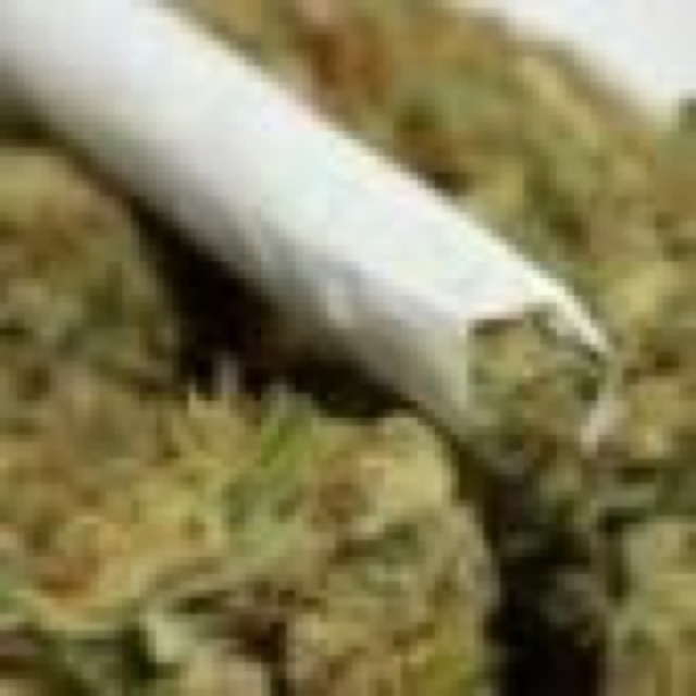 Kush Experiences cover