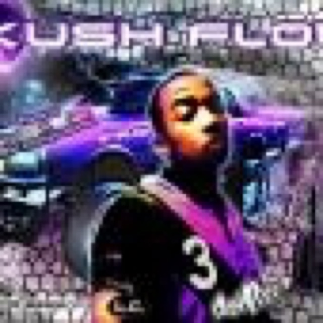 Kush Flow cover