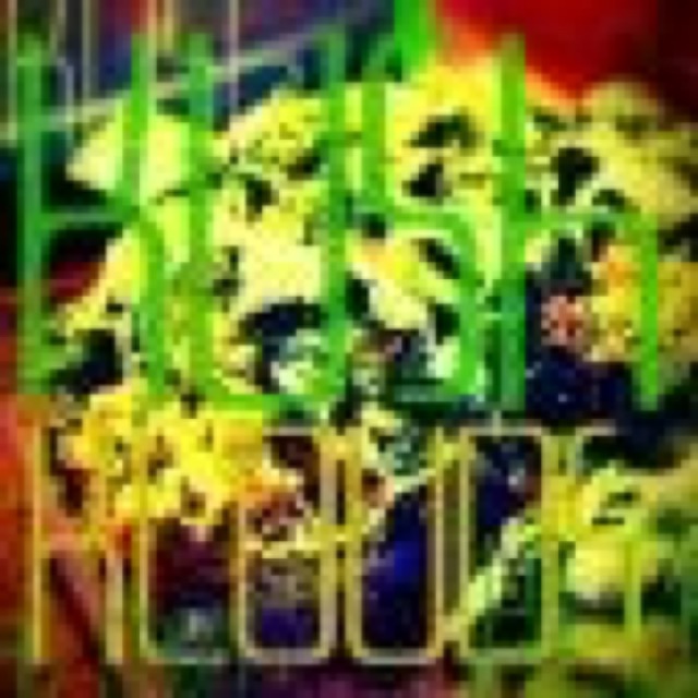 KushKlouds cover