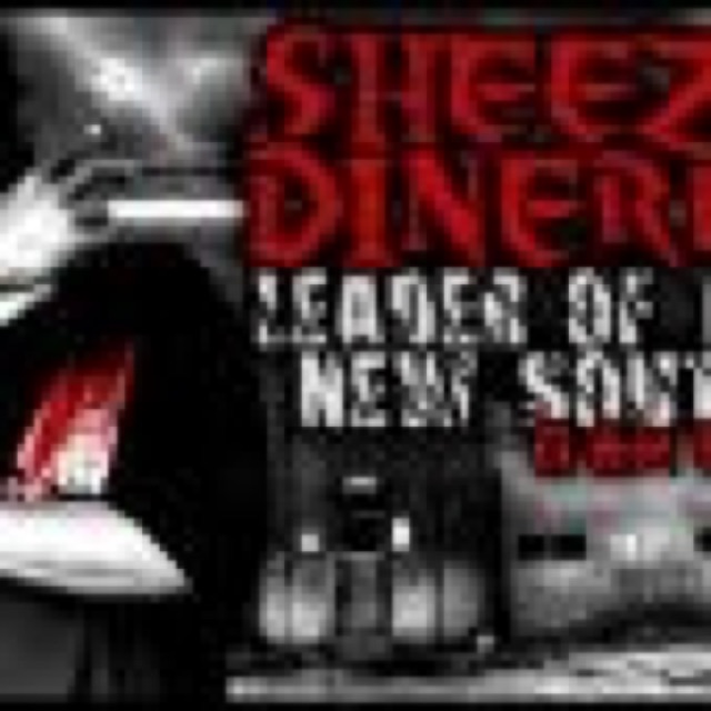 Leader of the New South cover