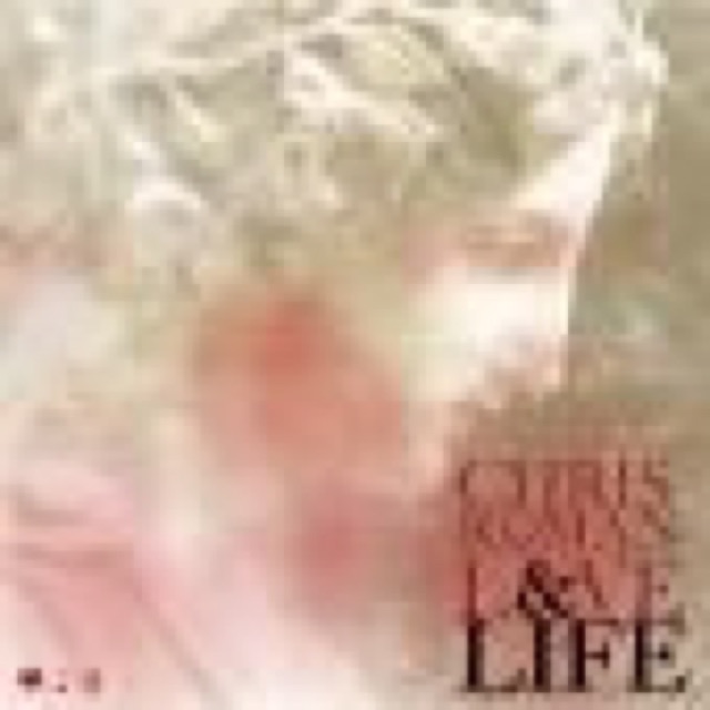 Love and Life cover
