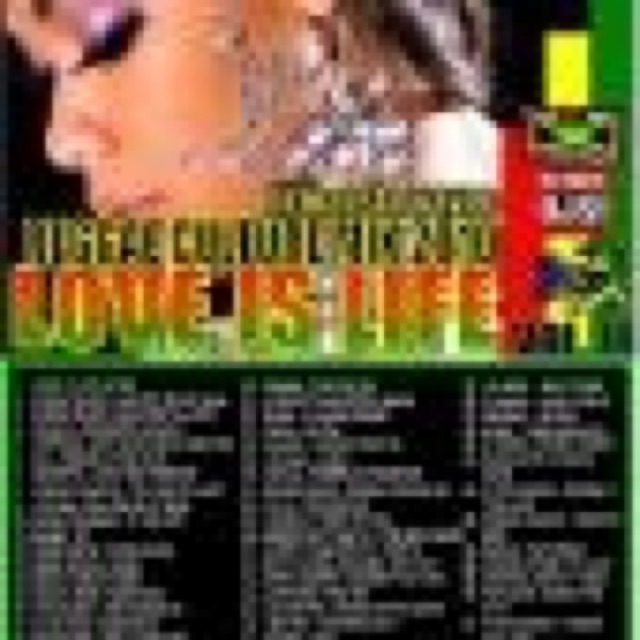 LOVE IS LIFE volume 11 REGGAE CULTURE MIX 2010 by mansta cover