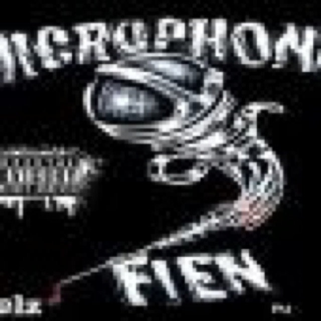 Microphone Fien by Juelz cover