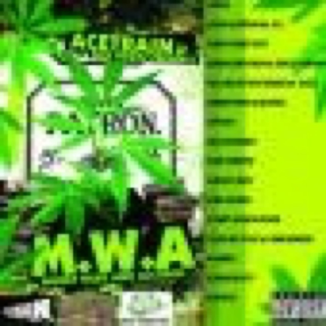 MONEY WEED ALCOHOL cover