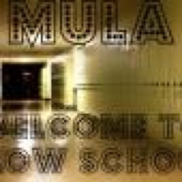 Mula Presents Welcome To Flow School cover