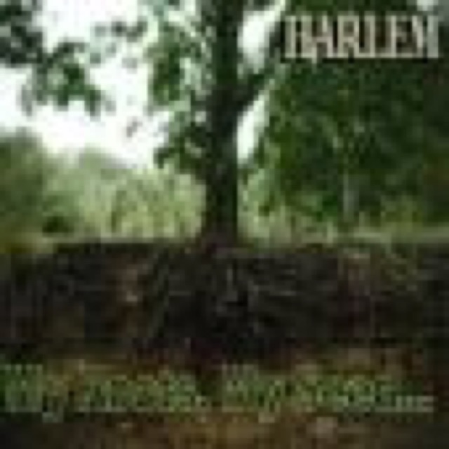My Roots, My Seed by Harlem cover