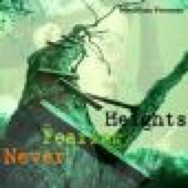 Never Fearing Heights cover