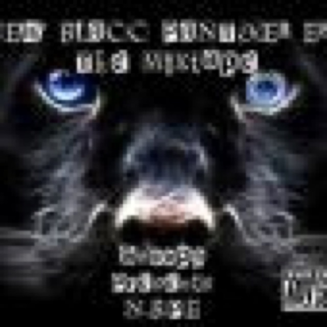 New Blacc Panther Era by Snoopy,DottKom,D-Money,Cipha Qb,Spitta cover