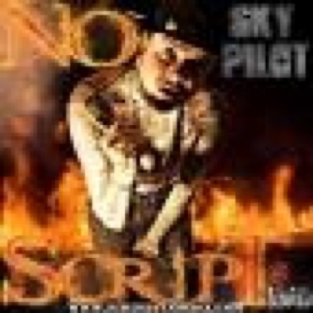 No Script by Skyler evans, sky pilot cover