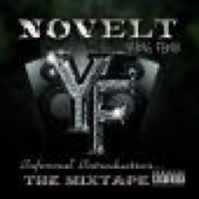 NovelT Informal Introduction by NovelT cover