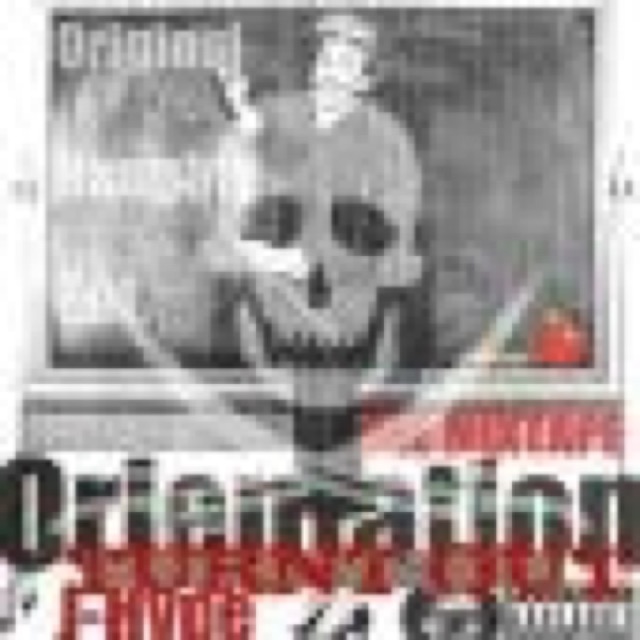 ORIENTATION TURNT OUT cover