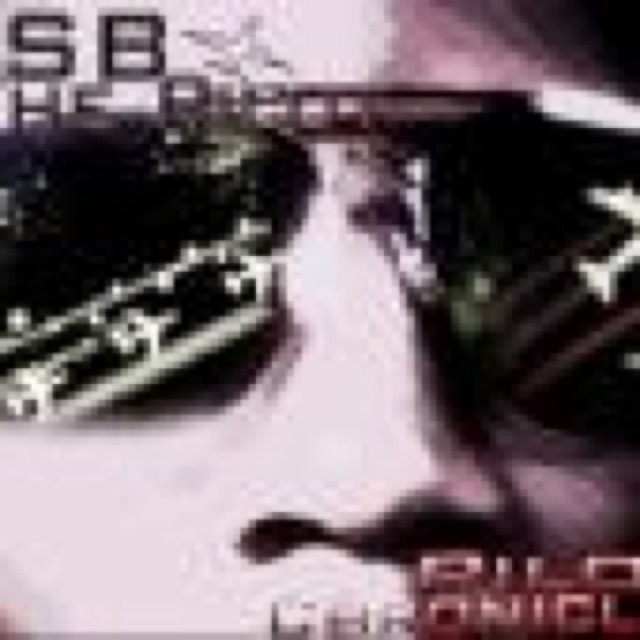 Pilot Chronicles by SB The Pilot cover