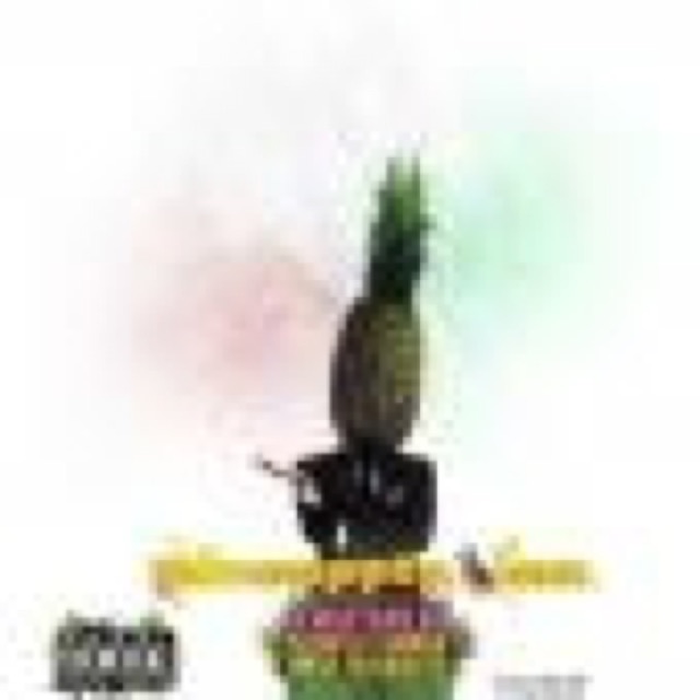 Pineapple, Inc cover