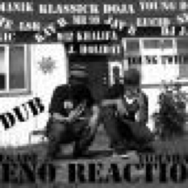 Reno Reaction cover