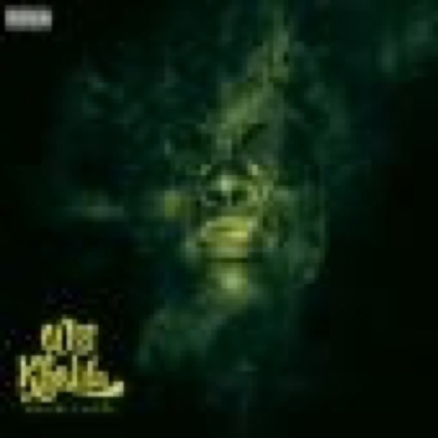 rolling papers the new album by wiz khalifa cover