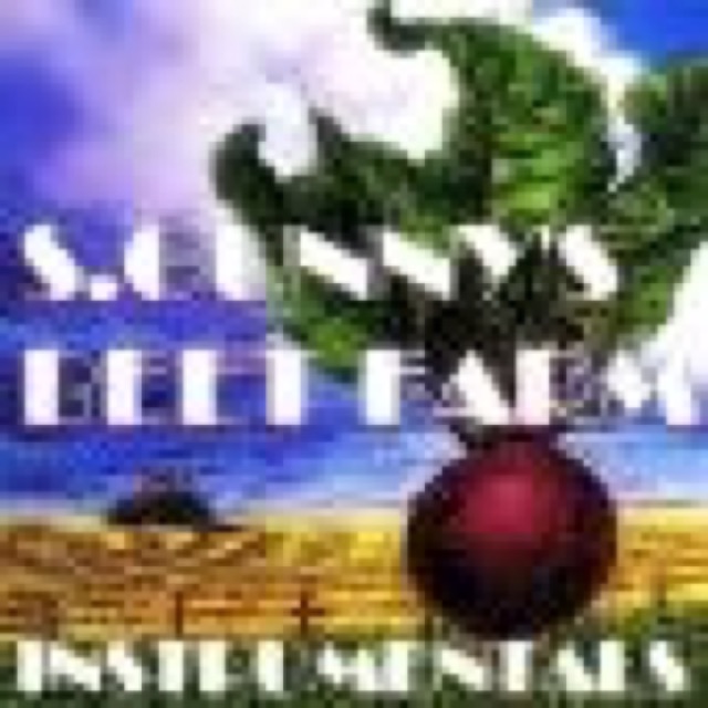 SGunnys Beet Farm cover
