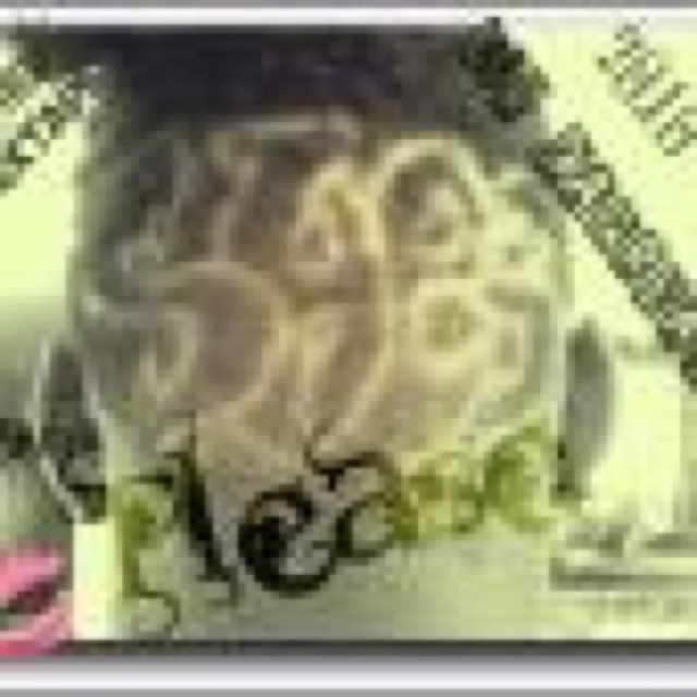 Shesh Please by L.v DaGreat cover