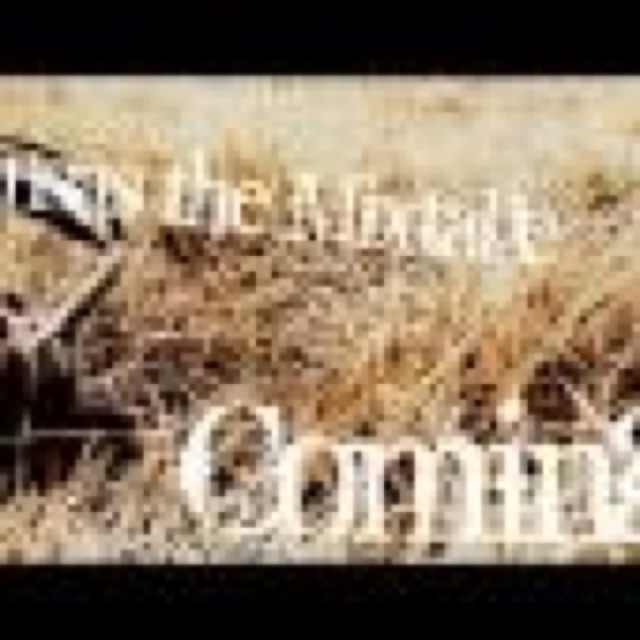 Sk Infamous cover