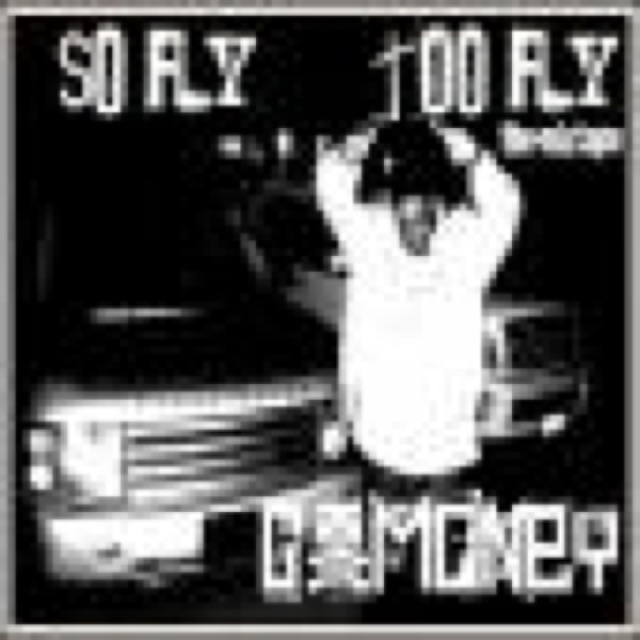 So FlyToo Fly cover